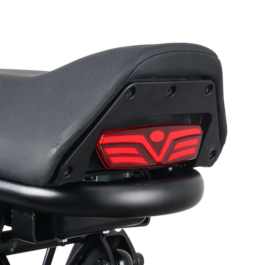 EMOVE RoadRunner V3